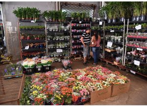 Visita ao CADEG - Mercado Municipal do Rio - é dica para curtir o fim de  semana e aproveitar a festa portuguesa no sábado - Comida na Mesa